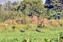 Cận cảnh khu vực Tuấn "khỉ" bị cảnh sát nổ súng tiêu diệt