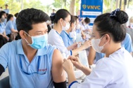 Nhiều doanh nghiệp tăng cường tiêm vaccine sốt xuất huyết cho người lao động dịp cuối năm