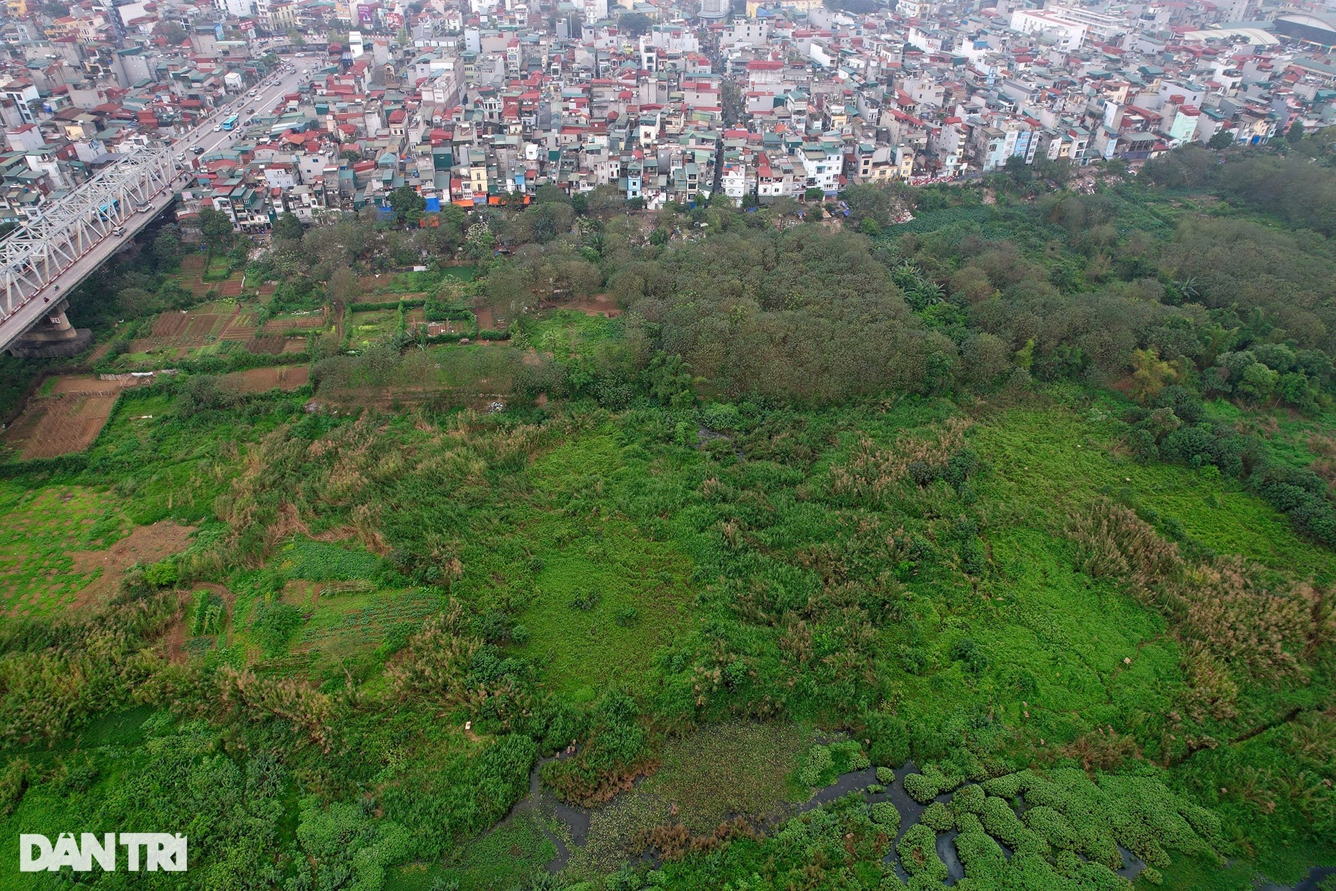 Ngắm vẻ đẹp hoang sơ bãi giữa sông Hồng ở Hà Nội được đề xuất làm công viên - 2