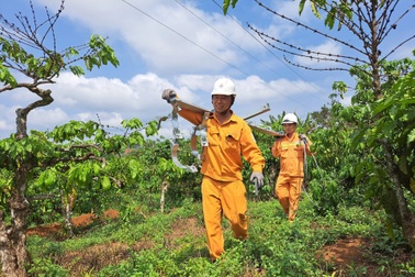PC Điện lực Đắk Nông chủ động cung ứng điện phục vụ sản xuất