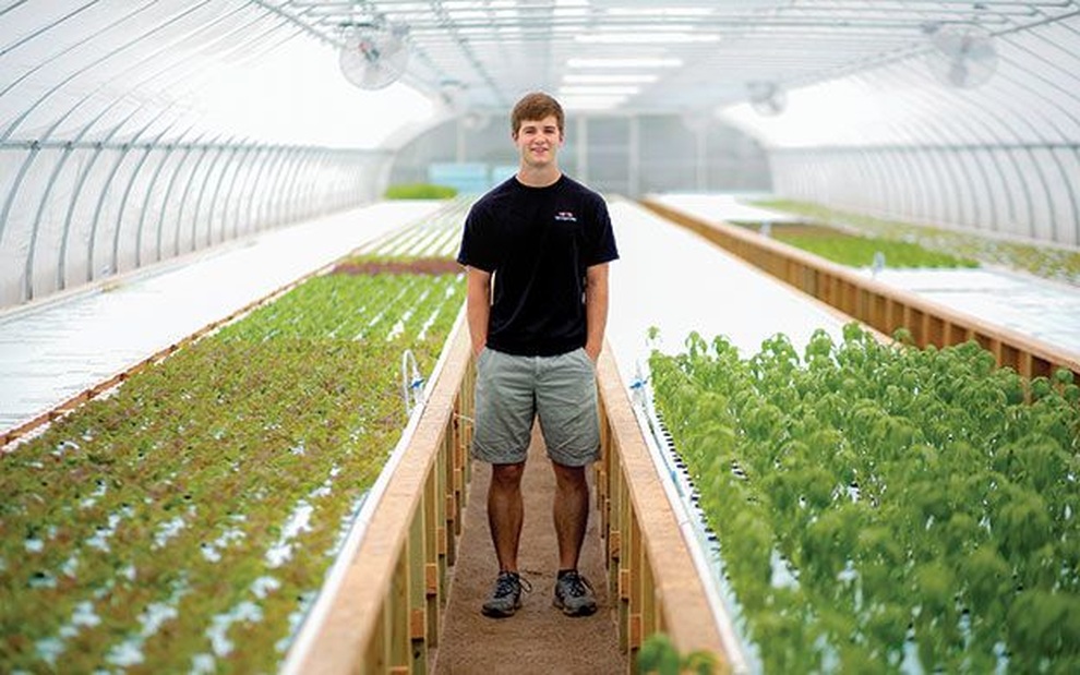 Dùng phương pháp lạ, trang trại thu hoạch 27 tấn cá/năm - 4