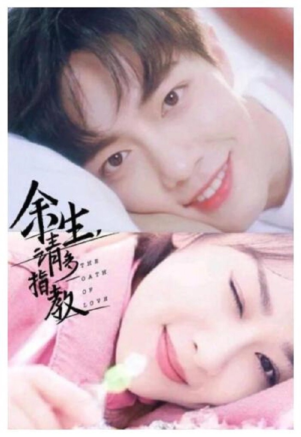 Vận đen và sự chững lại trong sự nghiệp của Dương Tử - 3 Vận đen và sự chững lại trong sự nghiệp của Dương Tử - 3