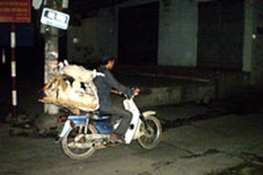 Rộn ràng gia cầm chưa kiểm dịch vào phố