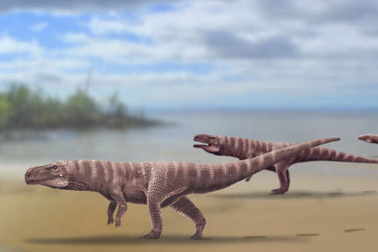 Nghiên cứu mới tiết lộ nguồn gốc dấu chân cổ đại được tìm thấy ở Hàn Quốc