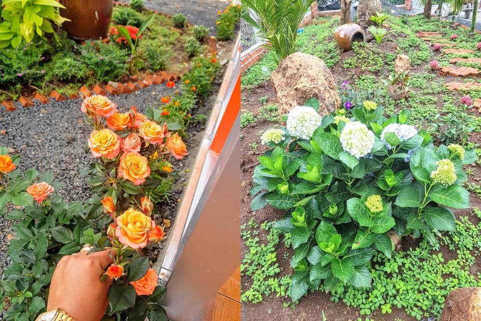 Ông bố trẻ ở Đắk Lắk làm nhà vườn đổi gió đẹp mê chỉ 160 triệu đồng - 12 Ông bố trẻ ở Đắk Lắk làm nhà vườn đổi gió đẹp mê chỉ 160 triệu đồng - 12