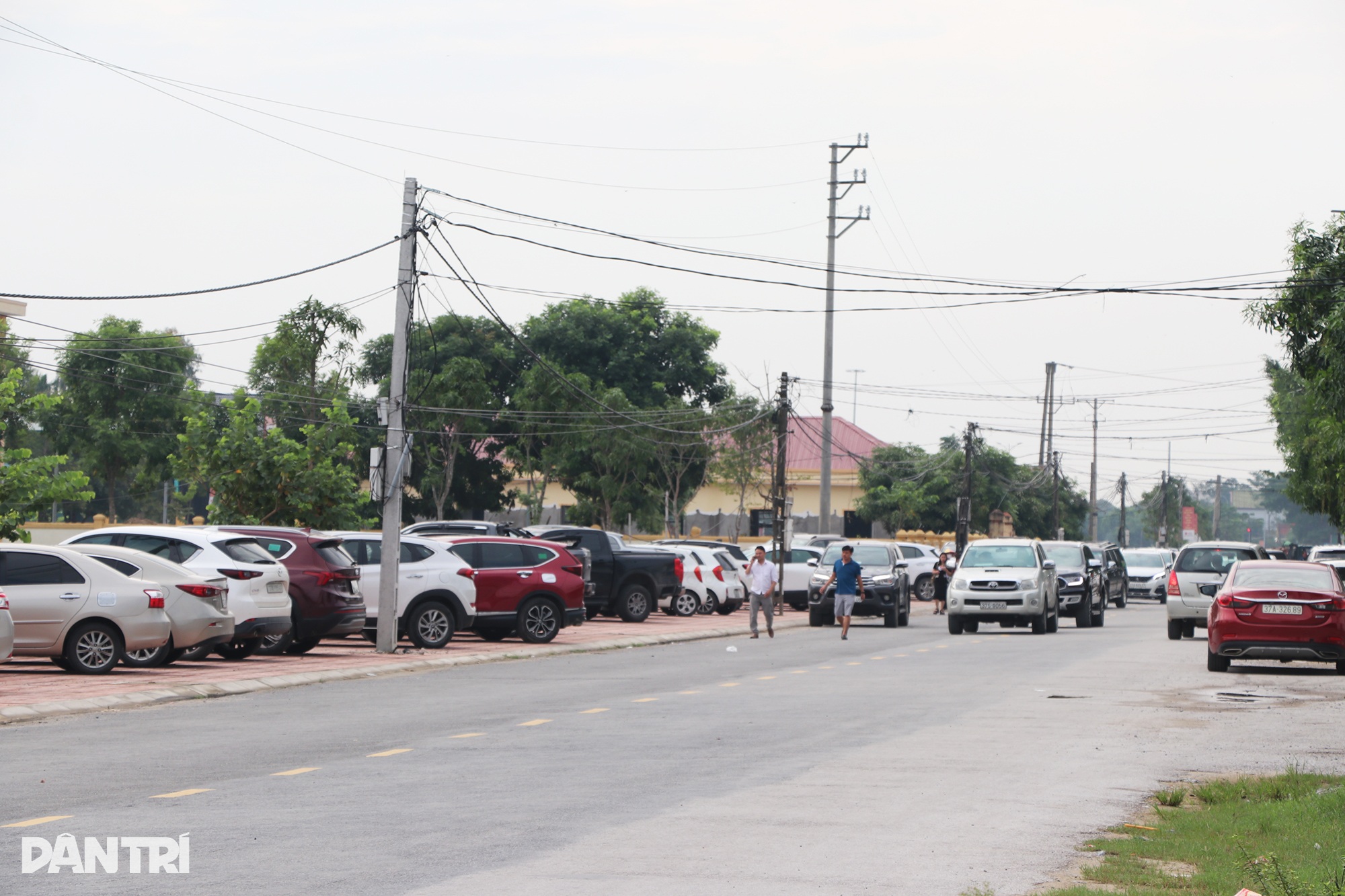 Midlertidig stans i auksjonen av landlige tomter med en startpris på nesten 10 milliarder VND - 2 Tạm dừng đấu giá lô đất nông thôn có thửa đất khởi điểm gần 10 tỷ đồng - 2