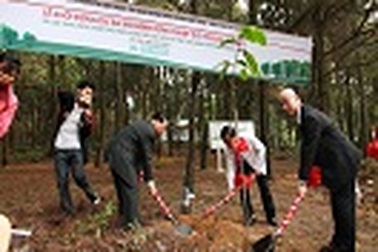 Rừng nhiệt đới được tái tạo trong lòng Hà Nội