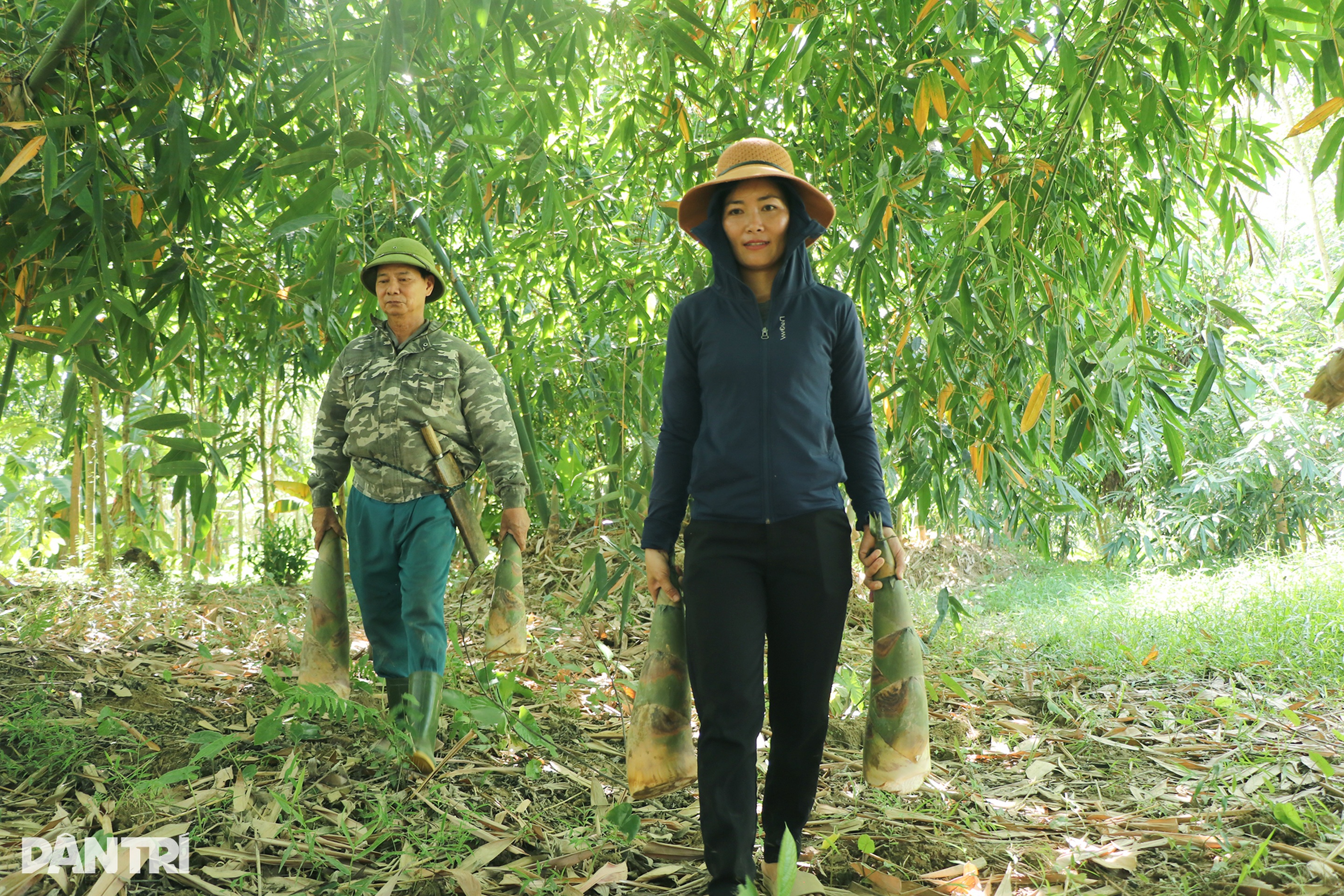Trồng cây lợi ích kép, lão nông bỏ túi nửa tỷ đồng mỗi năm - 3 Trồng cây lợi ích kép, lão nông bỏ túi nửa tỷ đồng mỗi năm - 3