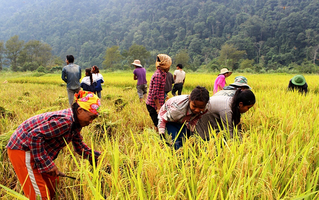 Năm 2025: Dự kiến tỷ lệ hộ nghèo cả nước giảm 0,8-1% - 1 Năm 2025: Dự kiến tỷ lệ hộ nghèo cả nước giảm 0,8-1% - 1