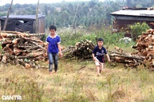 Ba đứa trẻ vô danh sống như người rừng: Người mẹ đã quay trở về