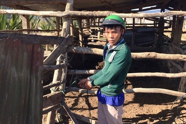 Hành trình “đánh án” trộm trâu giữa đại ngàn