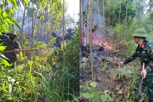 Cháy 10ha rừng bạch đàn và nhiều xe máy, gần 500 người tham gia dập lửa