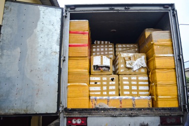 Cứu hộ 61 cá thể Tê Tê tại Thái Bình