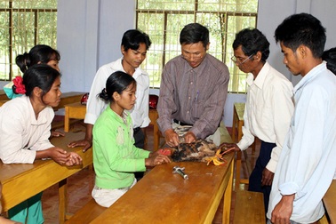 Thất nghiệp nhưng... ngại học nghề