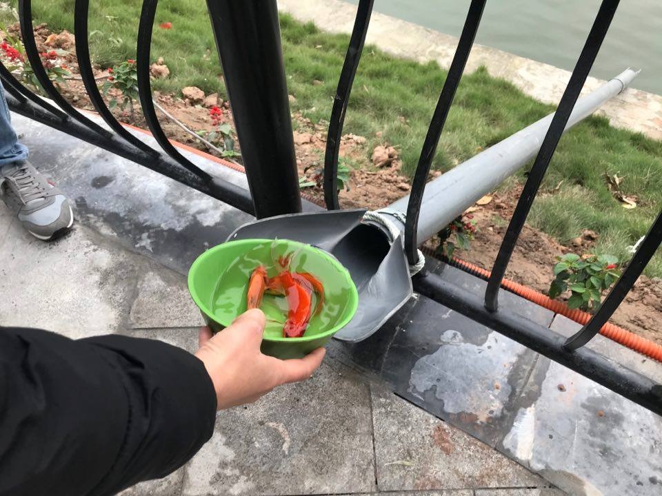 Hà Nội: Cá chép đi cầu trượt lên chầu Trời - 1 Hà Nội: Cá chép đi cầu trượt lên chầu Trời - 1
