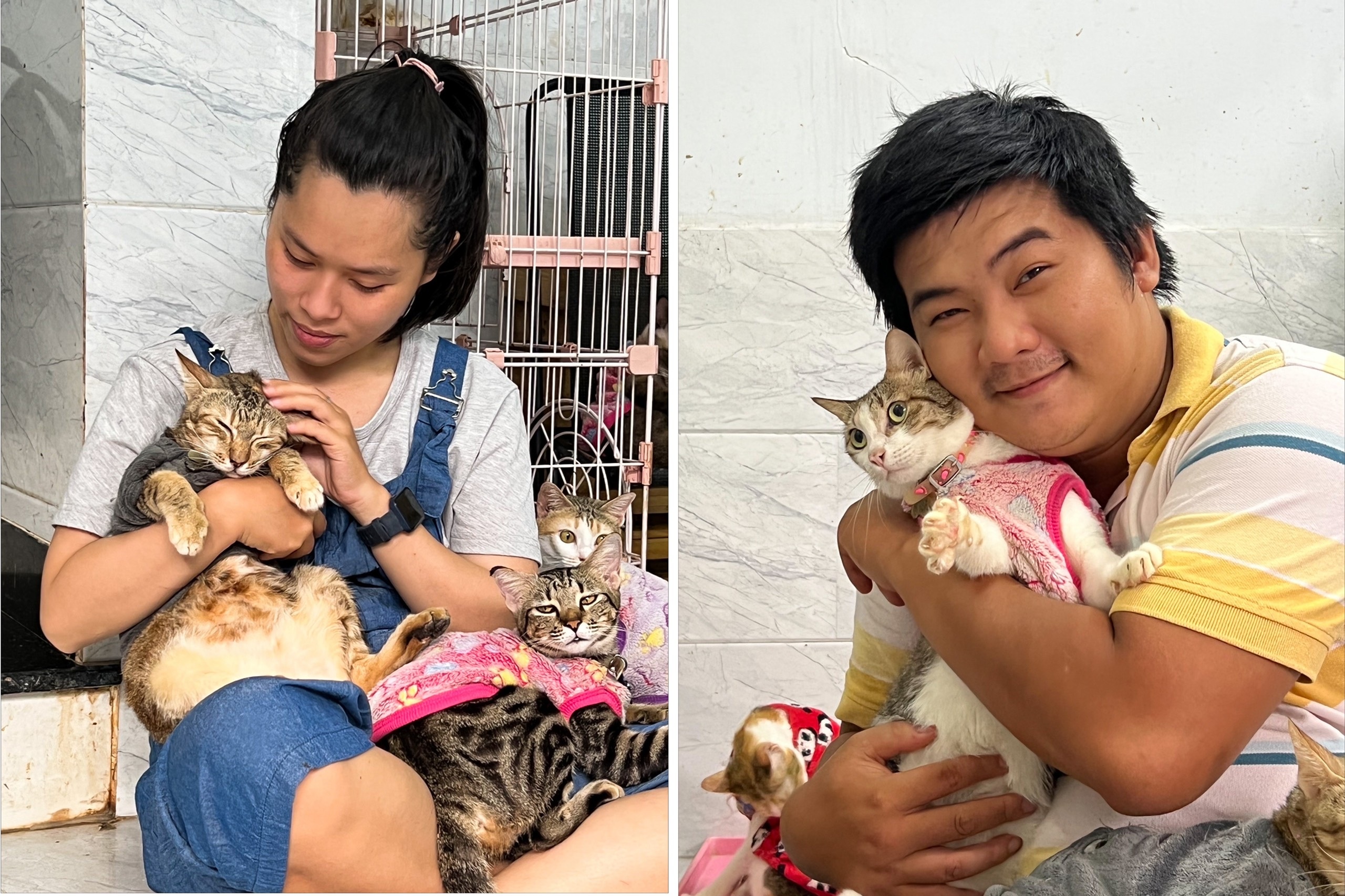 Ngôi nhà hạnh phúc của hàng trăm chú mèo tại trung tâm TPHCM - 7 Ngôi nhà hạnh phúc của hàng trăm chú mèo tại trung tâm TPHCM - 7