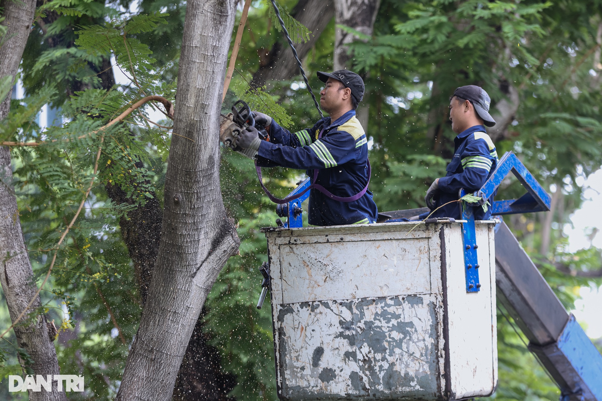 Bắt đầu thi công khán đài chào mừng đại lễ 30/4 ở TPHCM - 12 Bắt đầu thi công khán đài chào mừng đại lễ 30/4 ở TPHCM - 12