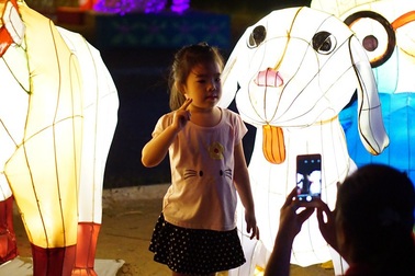 “Loay hoay” chụp ảnh với đèn lồng