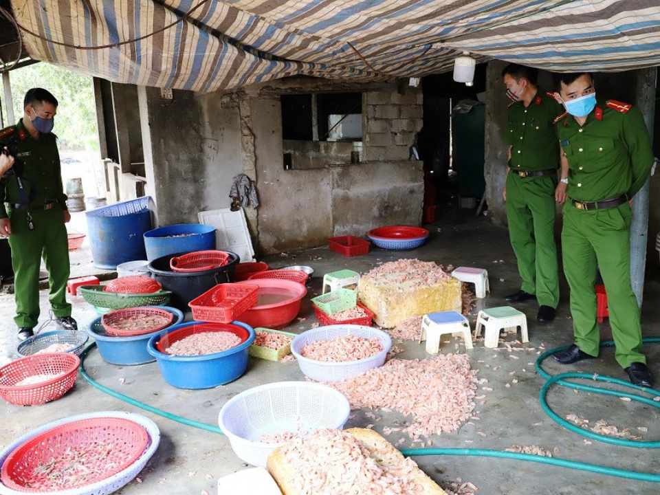 Bắt quả tang cơ sở chế biến tôm hôi thối để tuồn ra thị trường - 1 Bắt quả tang cơ sở chế biến tôm hôi thối để tuồn ra thị trường - 1