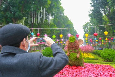 Ngỡ ngàng với cây cảnh tạo hình chuột "khổng lồ" đón Tết Canh Tý ở Hà Nội