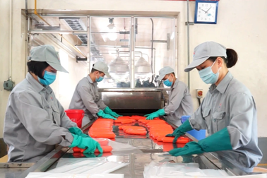 Cấp phép môi trường cho nhà máy sản xuất thuốc nổ ở Quảng Ninh