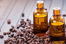 Bã cà phê và những ý tưởng khởi nghiệp táo bạo