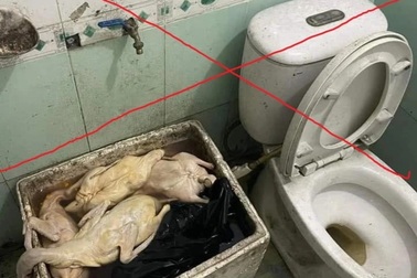 Quán vịt quay ở Quảng Ninh bị tố có dòi: Chủ quán nói gì?