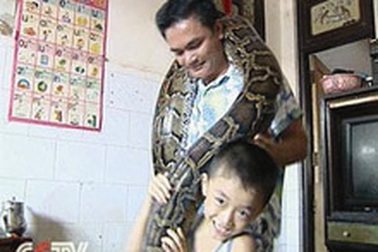 Mãng xà sống chung với một gia đình suốt 9 năm