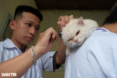"Biệt đội" cứu hộ chó mèo đặc biệt ở Hà Nội