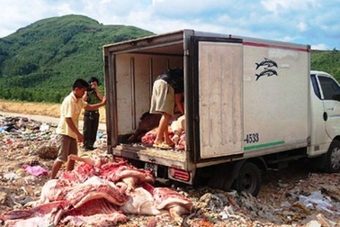Kiểm soát chặt chẽ thịt heo “bẩn” tuồn vào thị trường dịp Tết