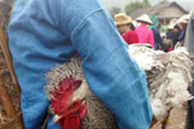 “Ở đây lạnh lắm, không con virút nào sống được”?!