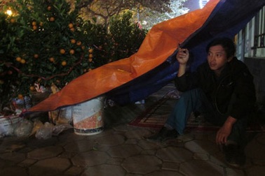 Nỗi khổ người trồng hoa