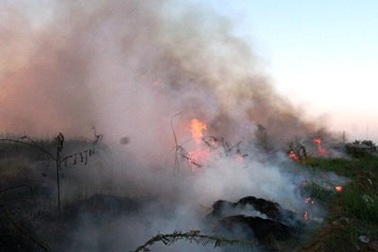 Ẩn họa khôn lường từ những vụ cháy cỏ 