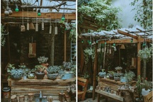 Quán cà phê "chữa lành" tâm hồn ở Đà Nẵng, khách trả tiền theo sự hài lòng