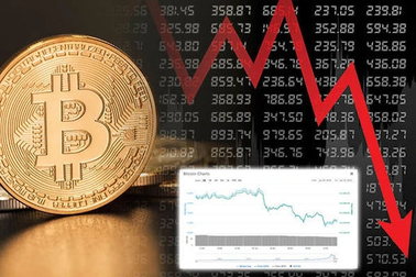 Hãng công nghệ vươn lên đỉnh cao rồi "lao xuống vực" vì đầu tư vào Bitcoin