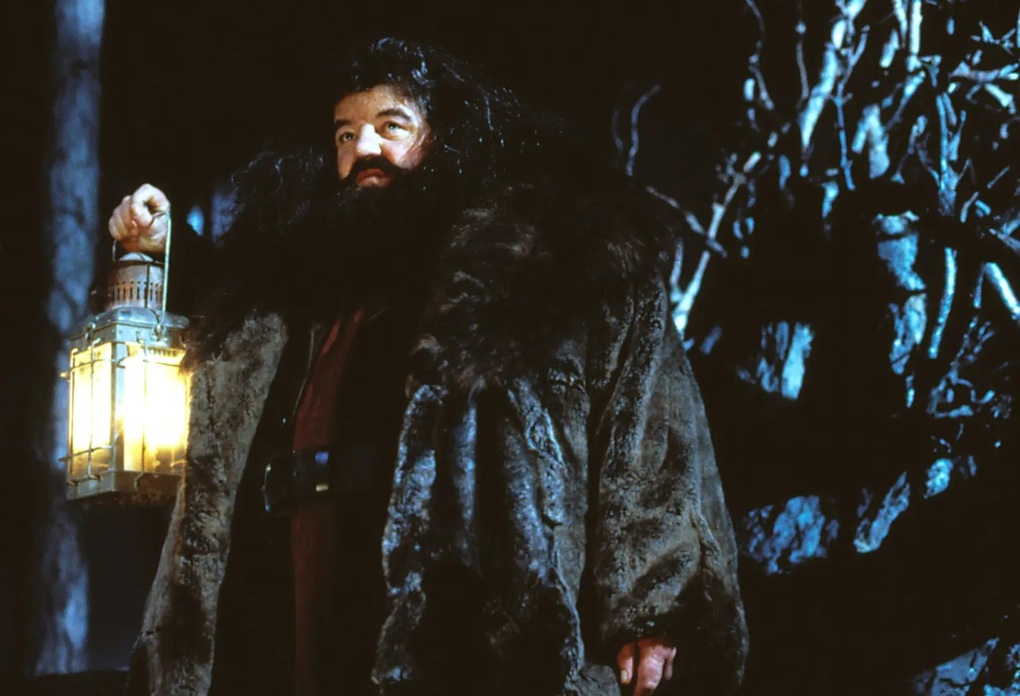 Nam diễn viên bác Hagrid trong seri phim Harry Potter qua đời - 1 Nam diễn viên bác Hagrid trong seri phim Harry Potter qua đời - 1