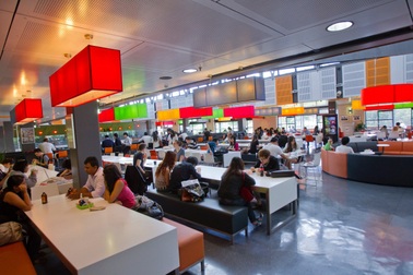 Hiện thực hoá cơ hội du học cùng học bổng 25000 AUD từ đại học Macquarie