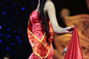 Thành lập đoàn thẩm tra BTC cuộc thi Hoa hậu Việt Nam 2008