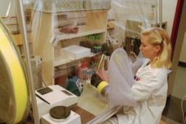 Sữa Nestlé an toàn cho sức khỏe