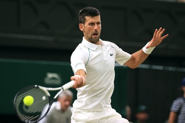 Đánh bại "ngựa ô" Van Rijthoven, Djokovic vào tứ kết Wimbledon