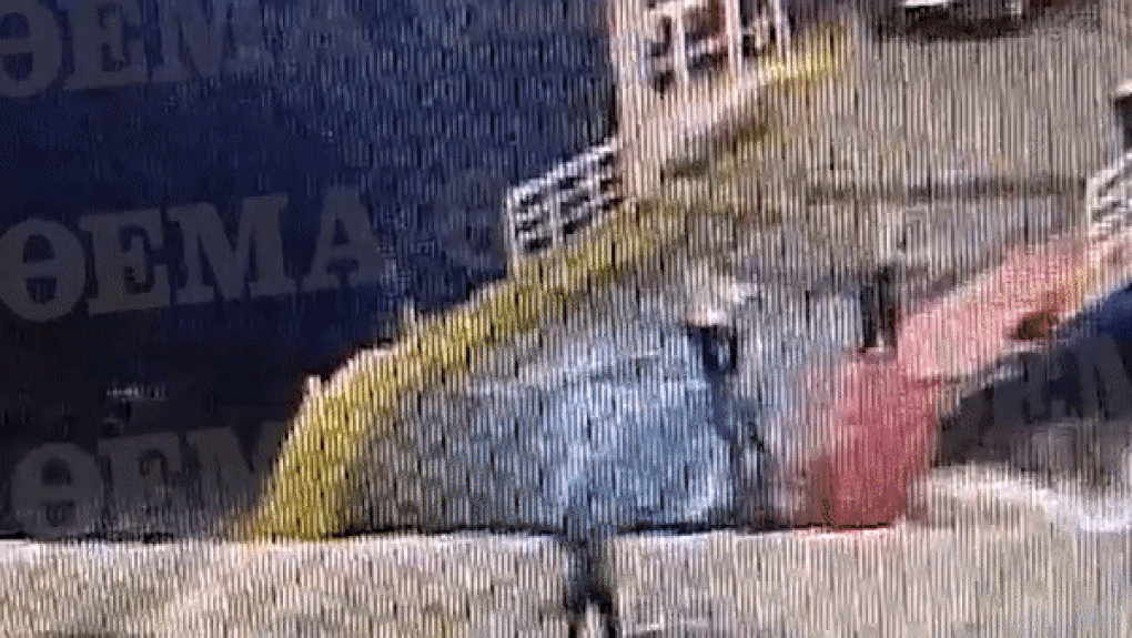 Hy Lạp: Khách tử vong vì bị thuyền viên đẩy thẳng xuống nước do đến muộn - 1 Hy Lạp: Khách tử vong vì bị thuyền viên đẩy thẳng xuống nước do đến muộn - 1