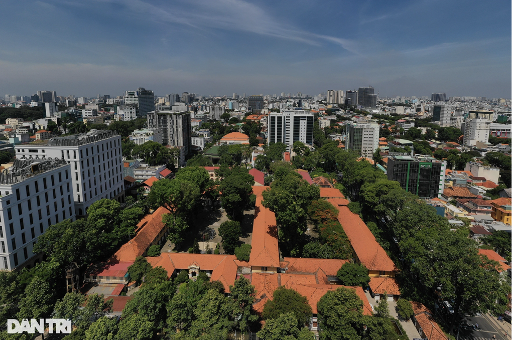 Xôn xao thông tin trường học 105 tuổi đề nghị đốn hạ 12 cây cổ thụ - 2 Xôn xao thông tin trường học 105 tuổi đề nghị đốn hạ 12 cây cổ thụ - 2