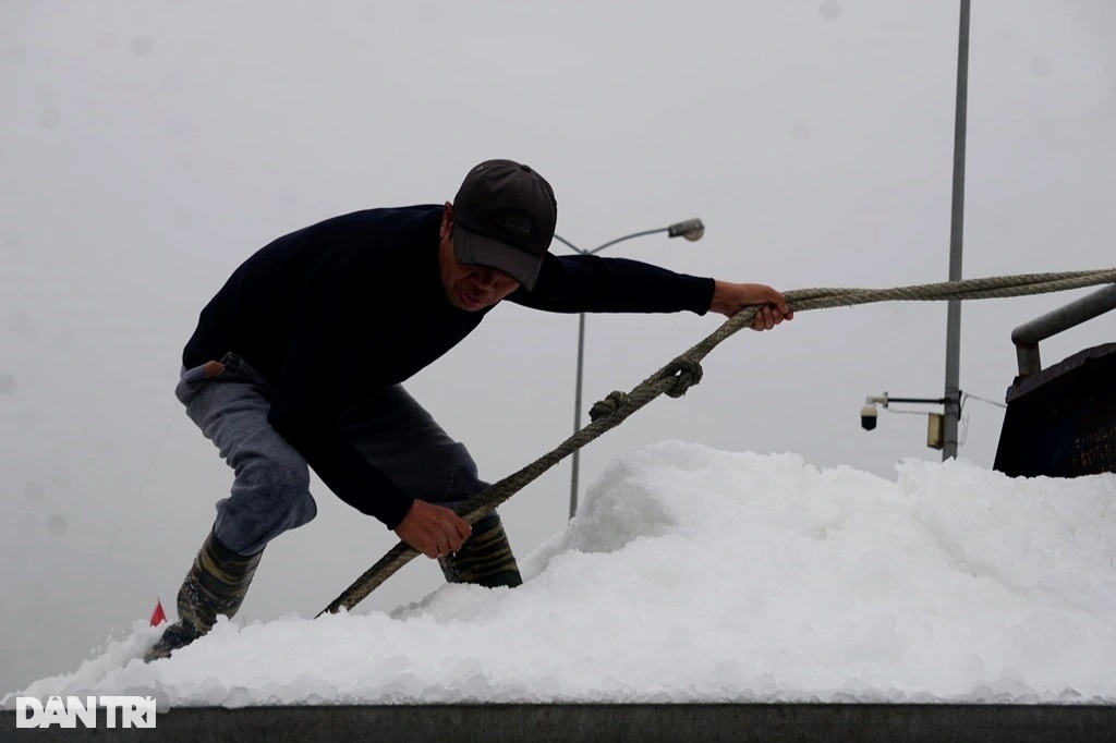 Khó khăn kép của ngư dân làm nghề đánh bắt hải sản - 4