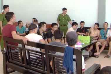 Khởi tố vụ phá sới gà “khủng” nhất nước