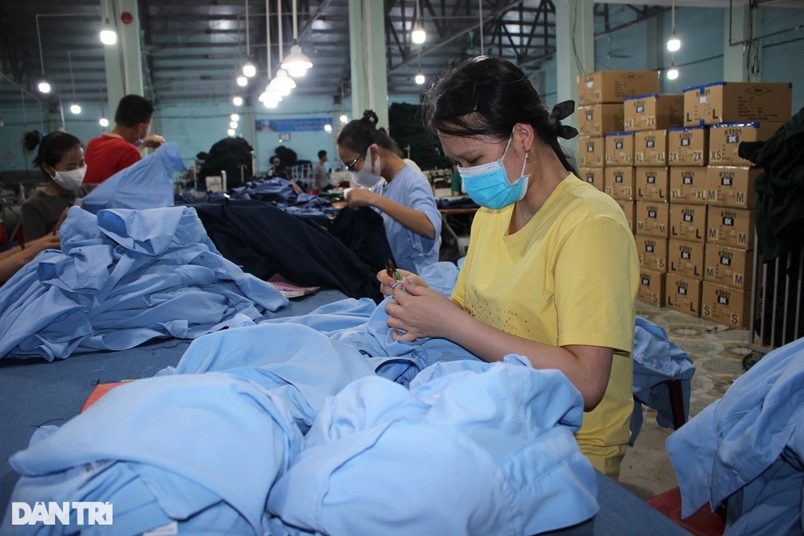 Hơn 30.000 lao động được chi trả hỗ trợ từ quỹ bảo hiểm thất nghiệp - 3 Hơn 30.000 lao động được chi trả hỗ trợ từ quỹ bảo hiểm thất nghiệp - 3