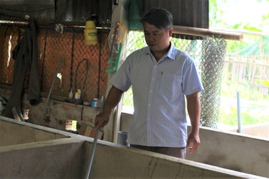 Nuôi con "ăn bẩn ở sạch", anh nông dân thu hàng trăm triệu mỗi năm