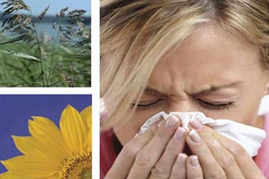 Stress thế này, không dị ứng mới lạ