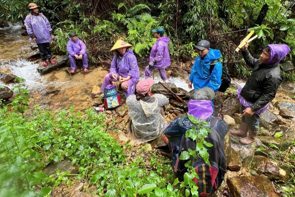 Hai phụ nữ bị lạc trong rừng khi đi hái măng ở Thừa Thiên Huế - 2 Hai phụ nữ bị lạc trong rừng khi đi hái măng ở Thừa Thiên Huế - 2