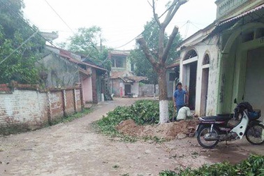 Hàng loạt cây xanh bị chặt hạ trong chiến dịch "đòi" vỉa hè của Hà Nội