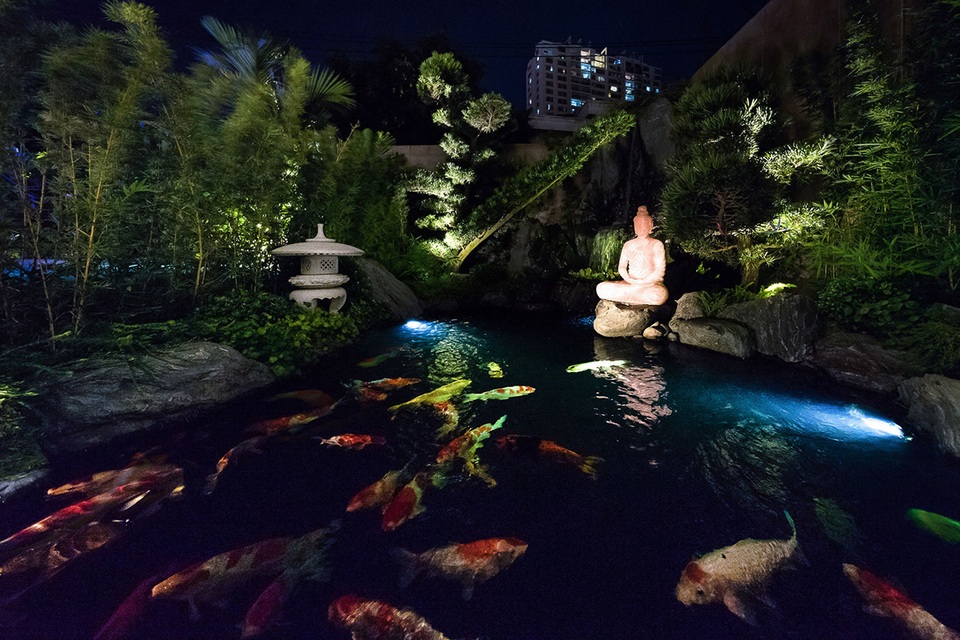 Cặp vợ chồng ở TP.HCM thiết kế cả rạp chiếu phim trong căn biệt thự phố - 4